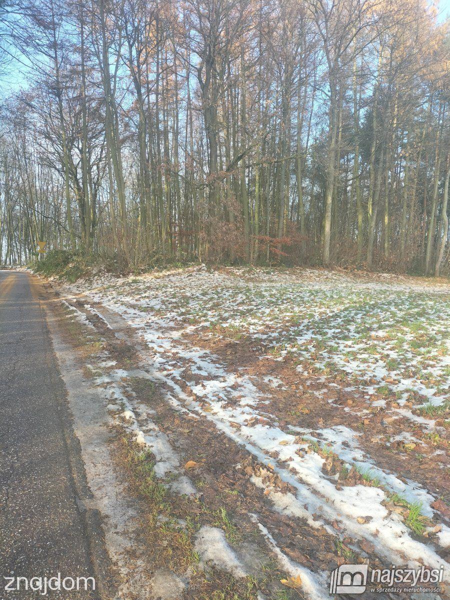Działka, Gryfice - zdjęcie 7
