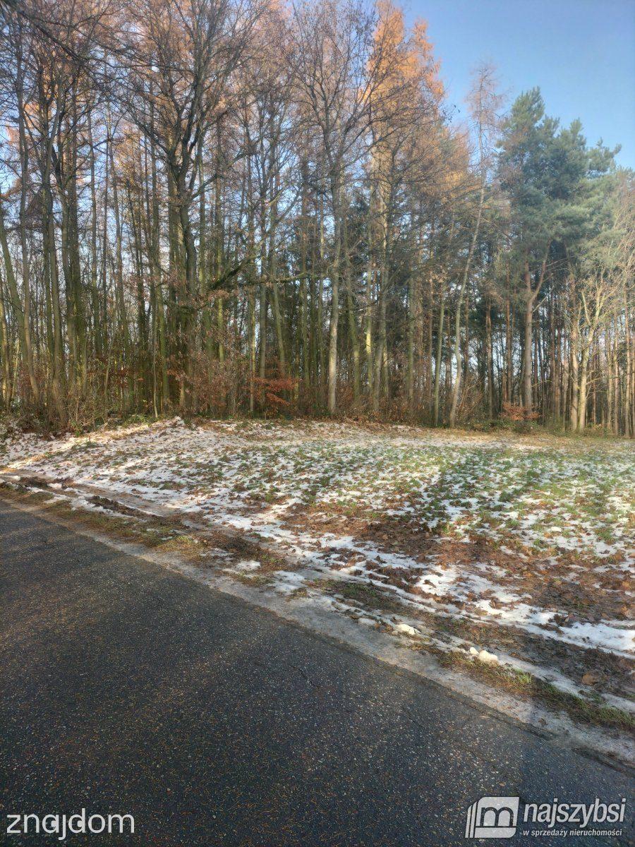 Działka, Gryfice - zdjęcie 8
