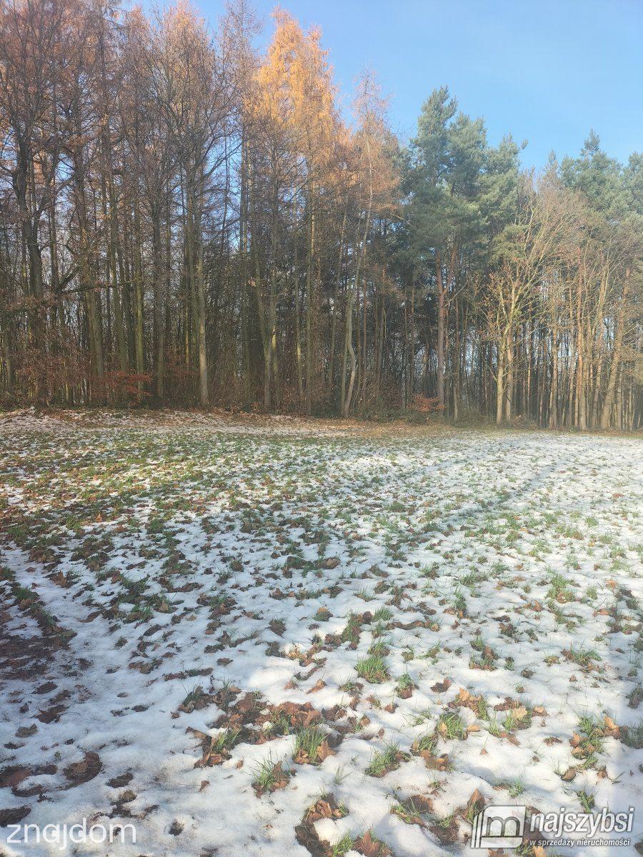 Działka, Gryfice - zdjęcie 9