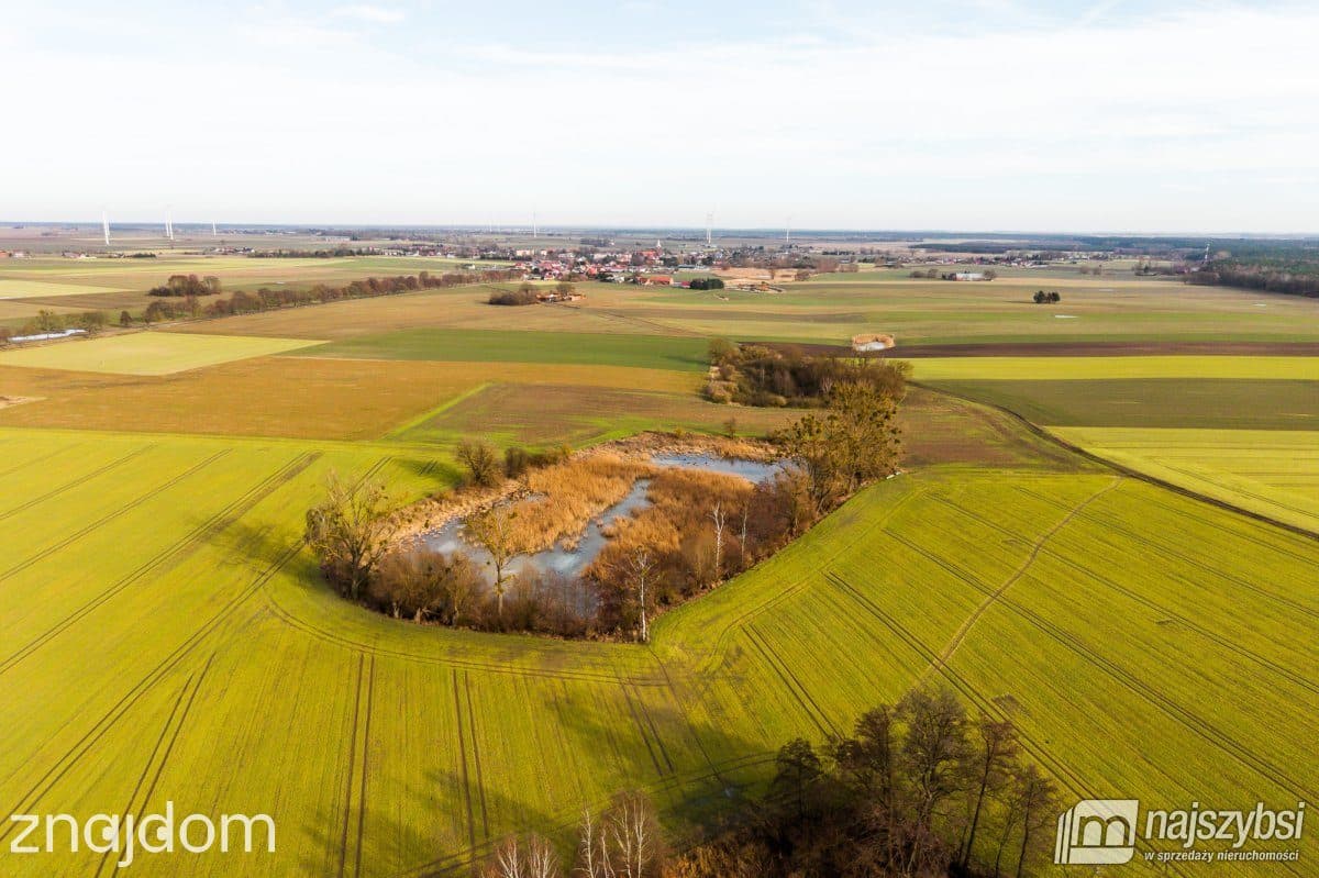 Działka, Boleszkowice - zdjęcie 5