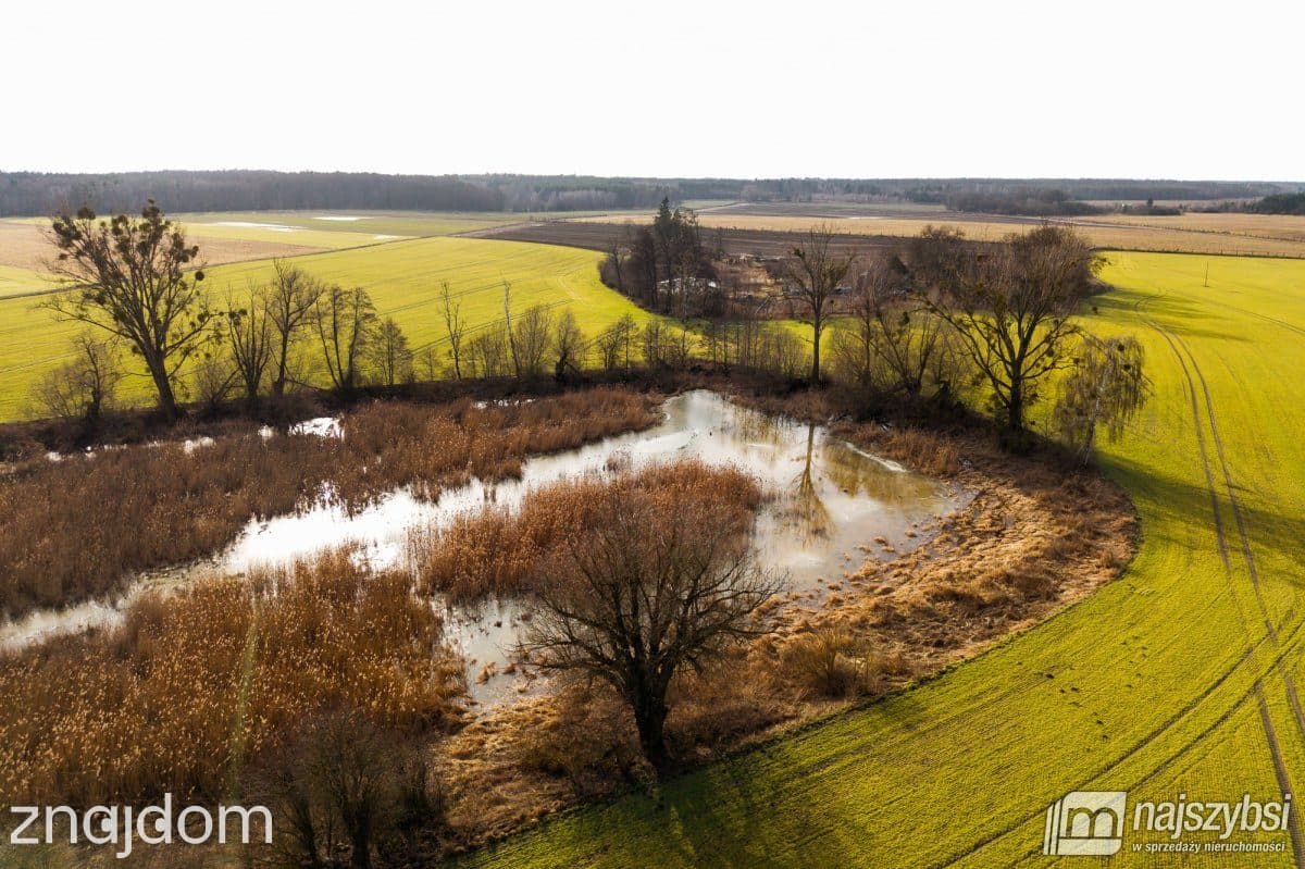 Działka, Boleszkowice - zdjęcie 8