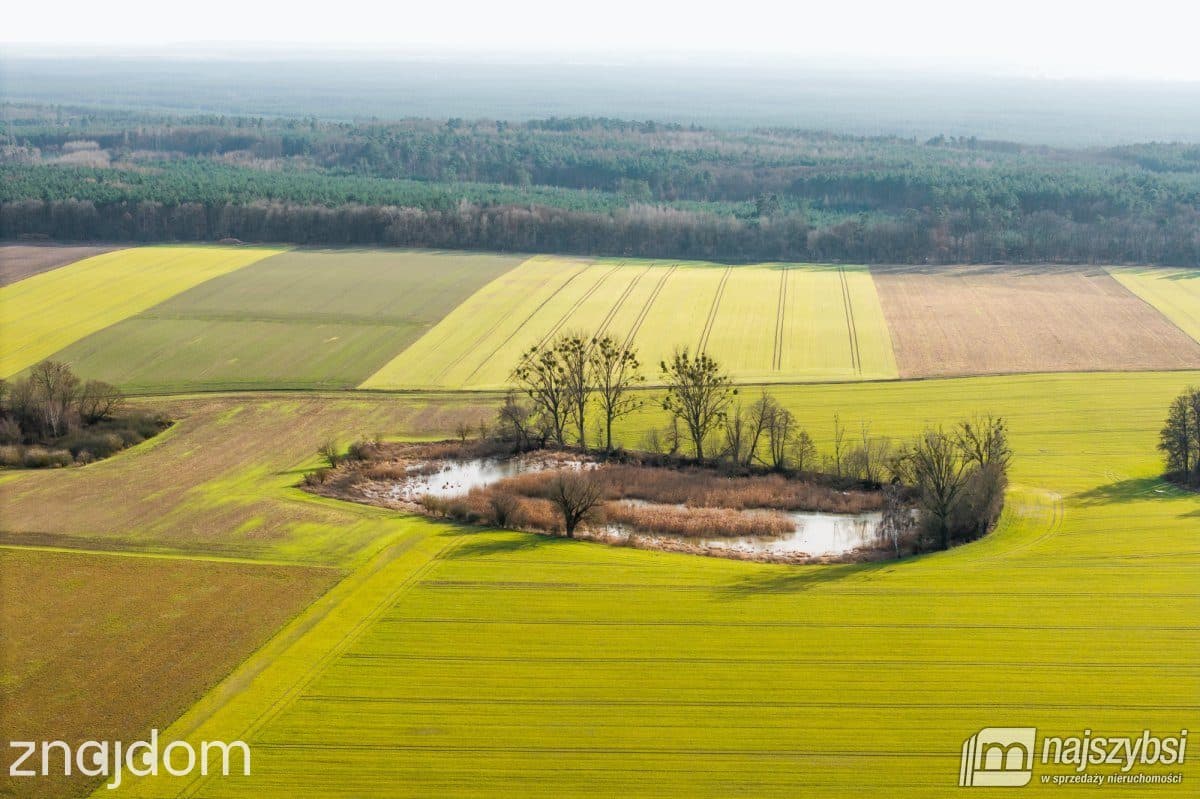 Działka, Boleszkowice - zdjęcie 9