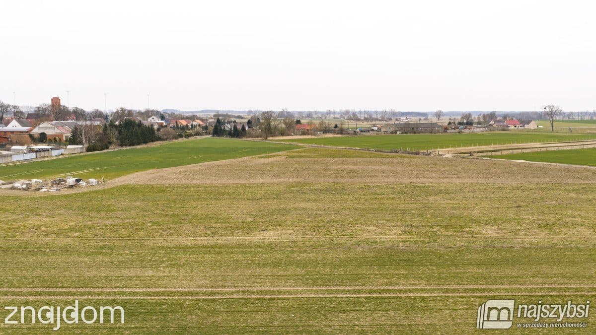 Działka, Bielice - zdjęcie 4