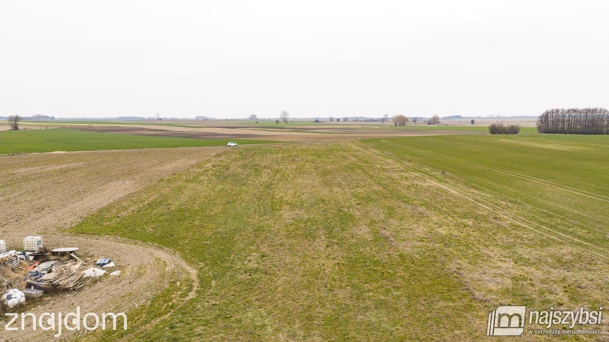 Działka, Bielice - zdjęcie 6