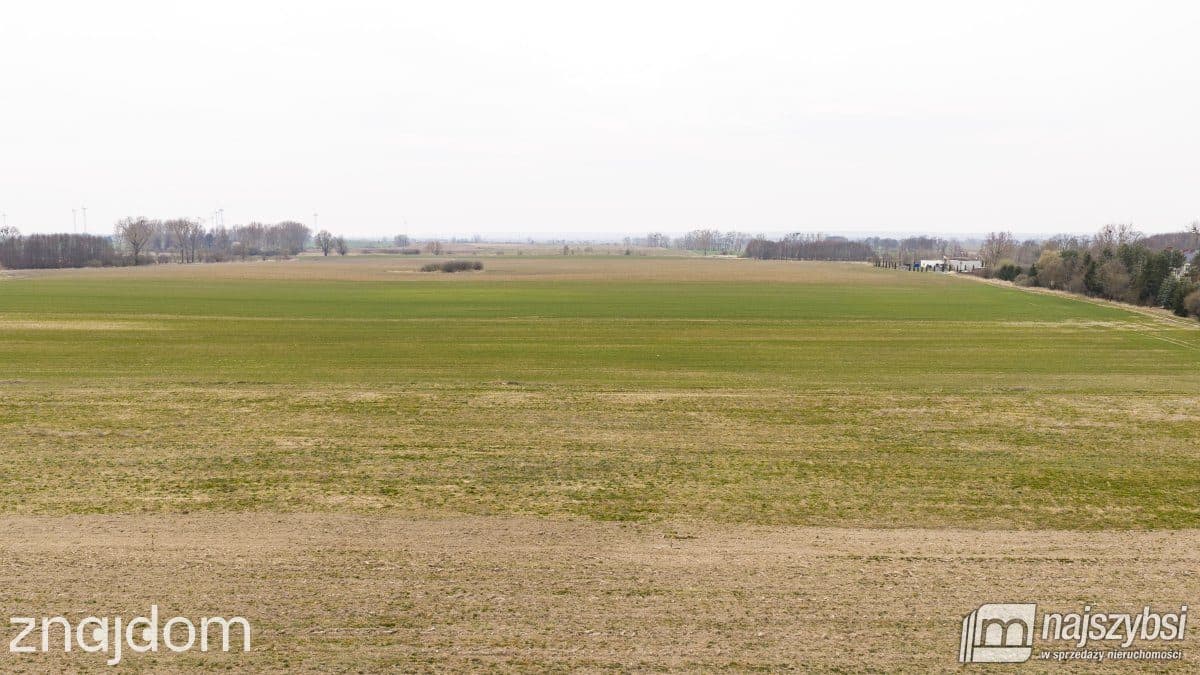Działka, Bielice - zdjęcie 7