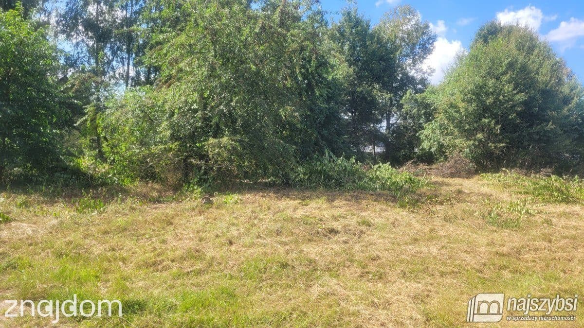 Działka, Białuń - zdjęcie 15