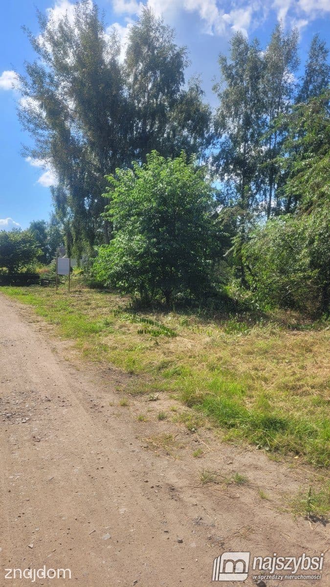 Działka, Białuń - zdjęcie 8