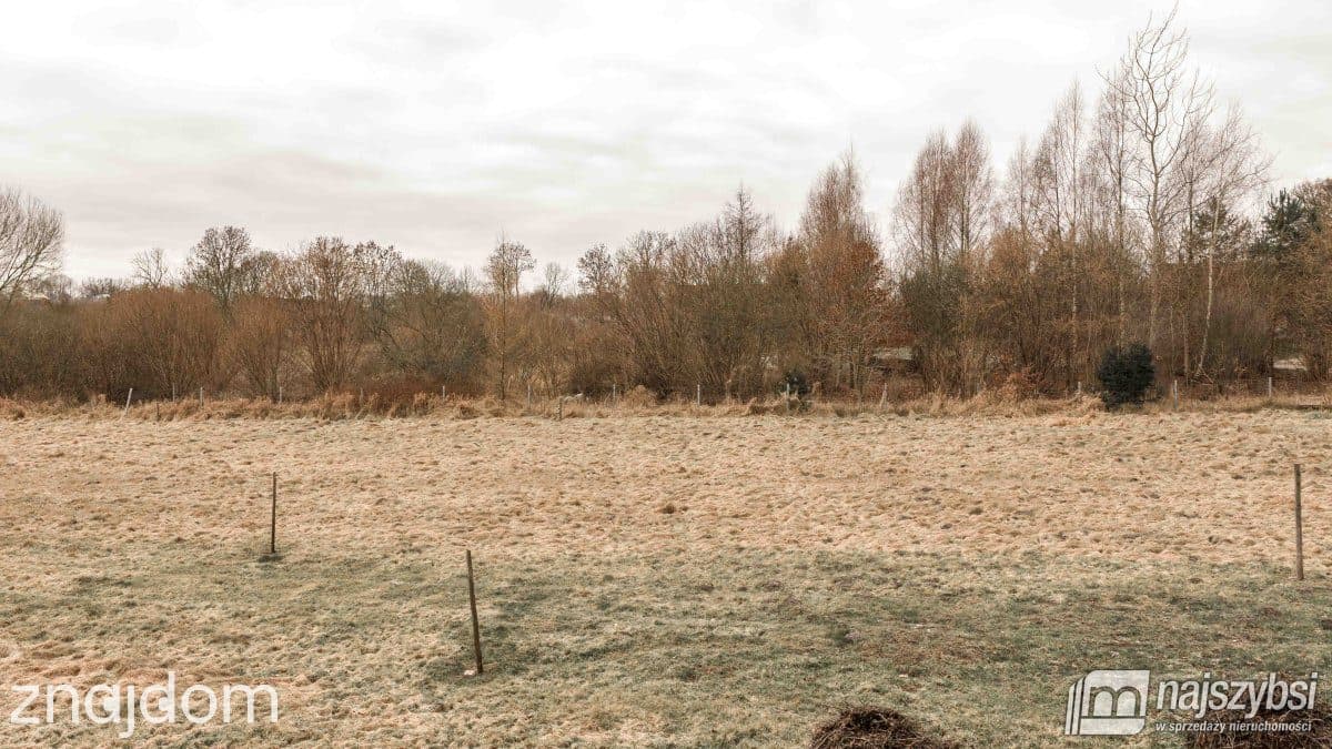 Działka, Dąbowica - zdjęcie 3