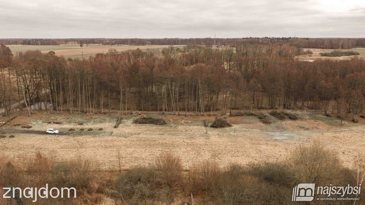 Działka, Dąbowica - zdjęcie 6