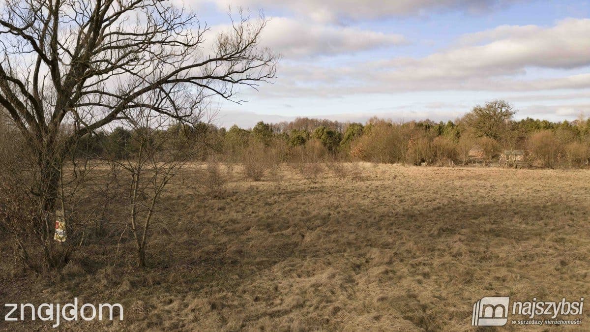 Działka, Krępsko - zdjęcie 2