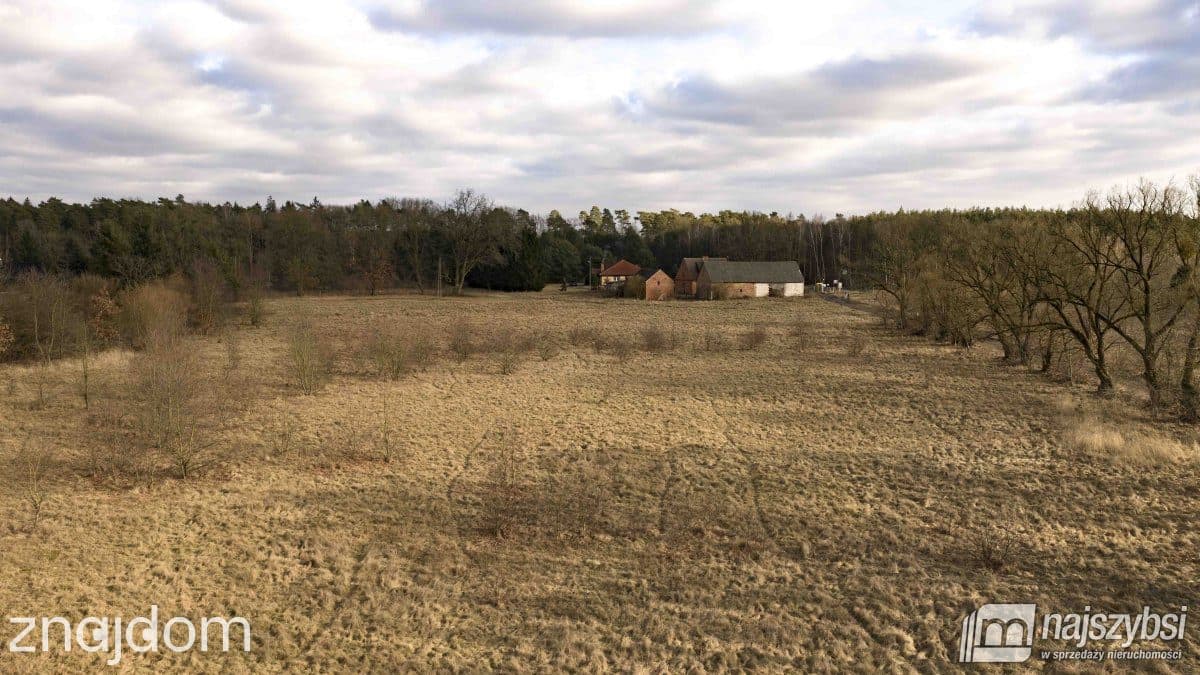 Działka, Krępsko - zdjęcie 4
