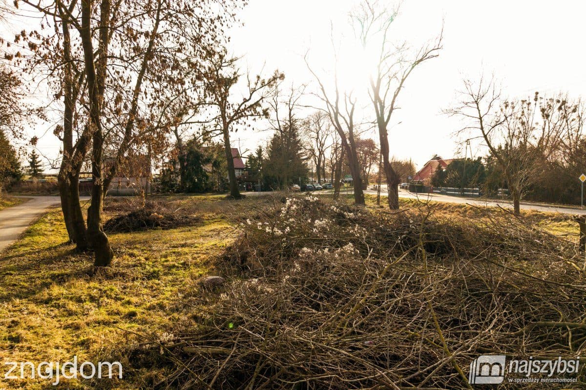 Działka, Orzechów - zdjęcie 3