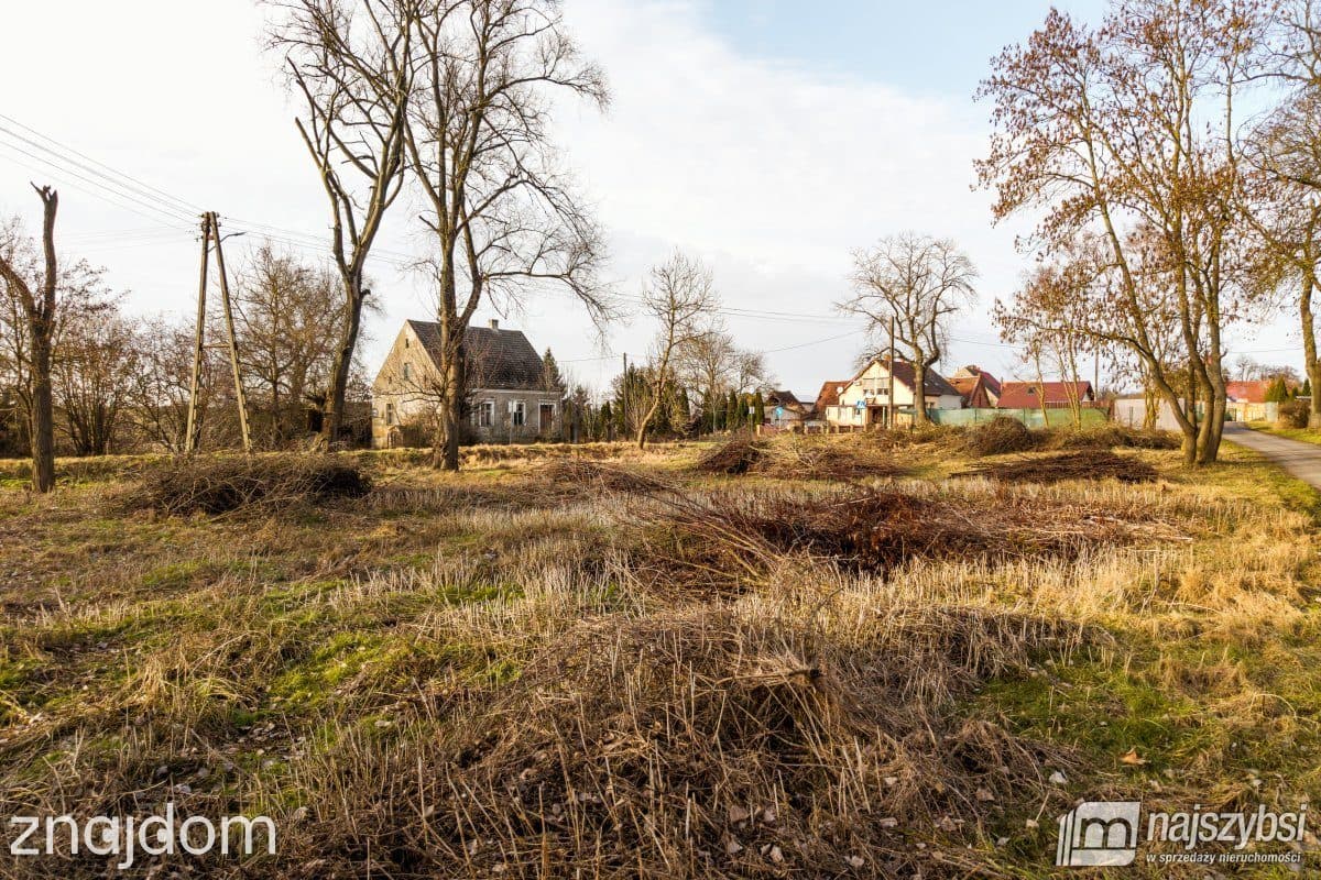 Działka, Orzechów - zdjęcie 9
