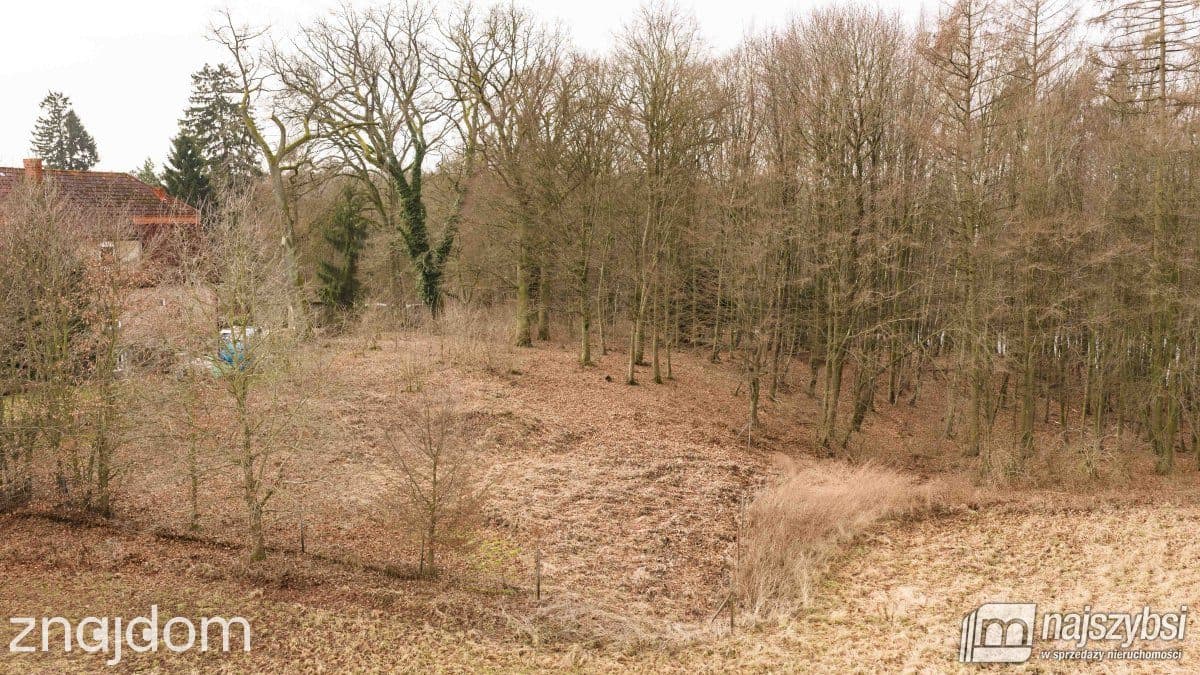 Działka, Wierzbka Dolna - zdjęcie 8