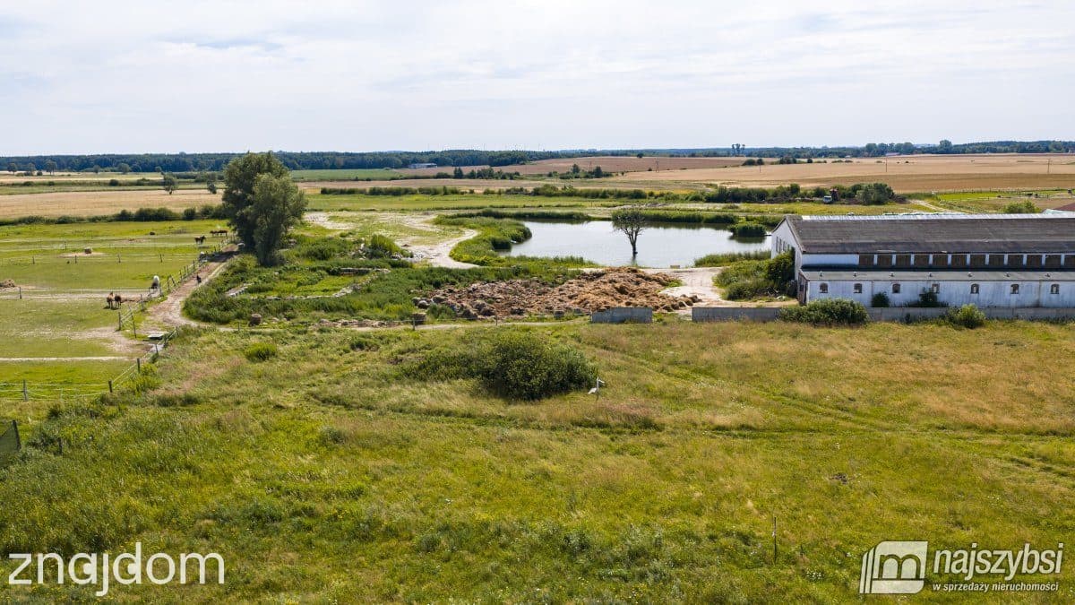 Działka, Stary Borek - zdjęcie 11