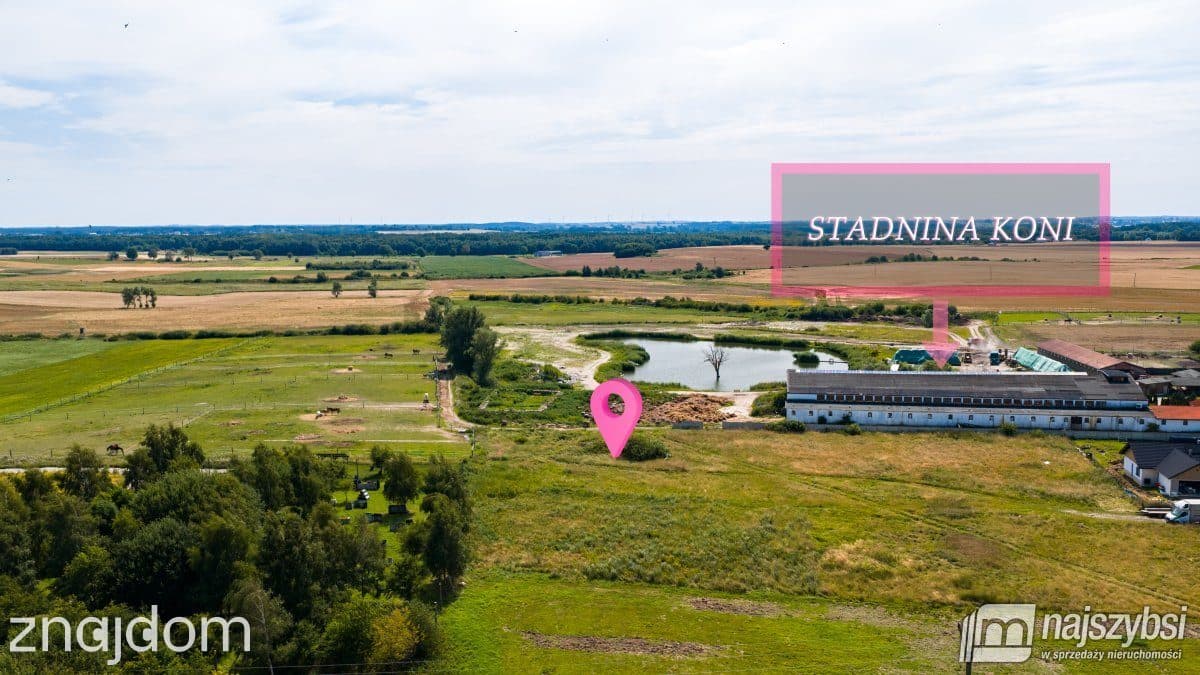 Działka, Stary Borek - zdjęcie 4