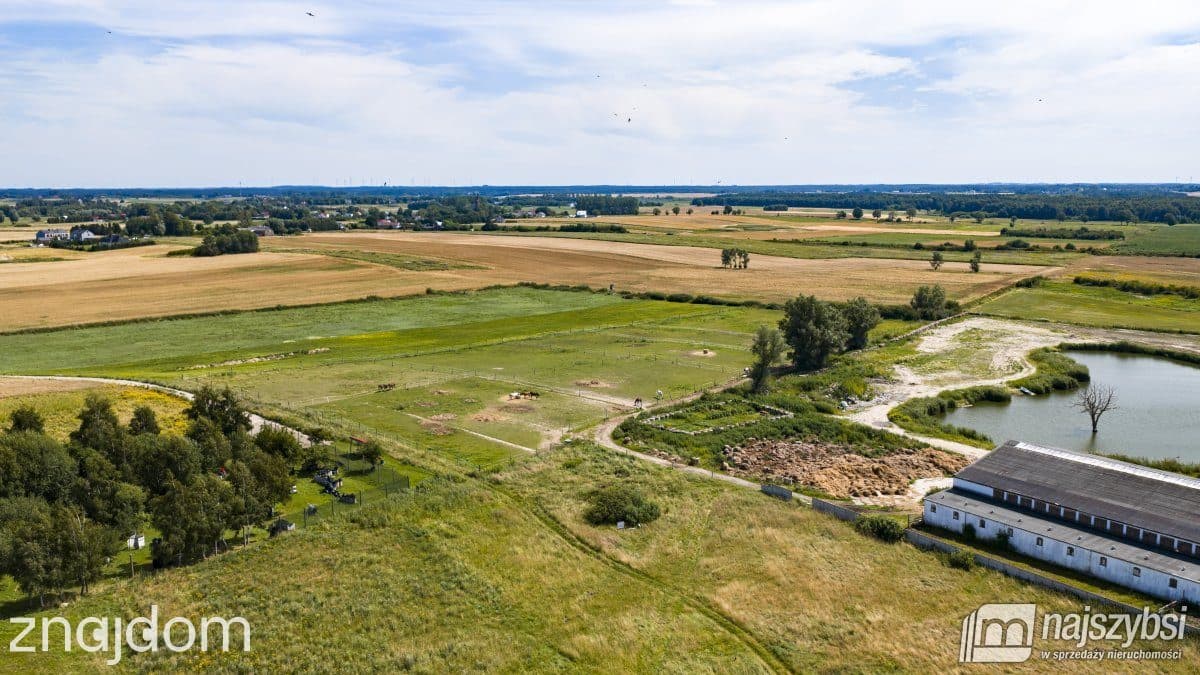 Działka, Stary Borek - zdjęcie 7
