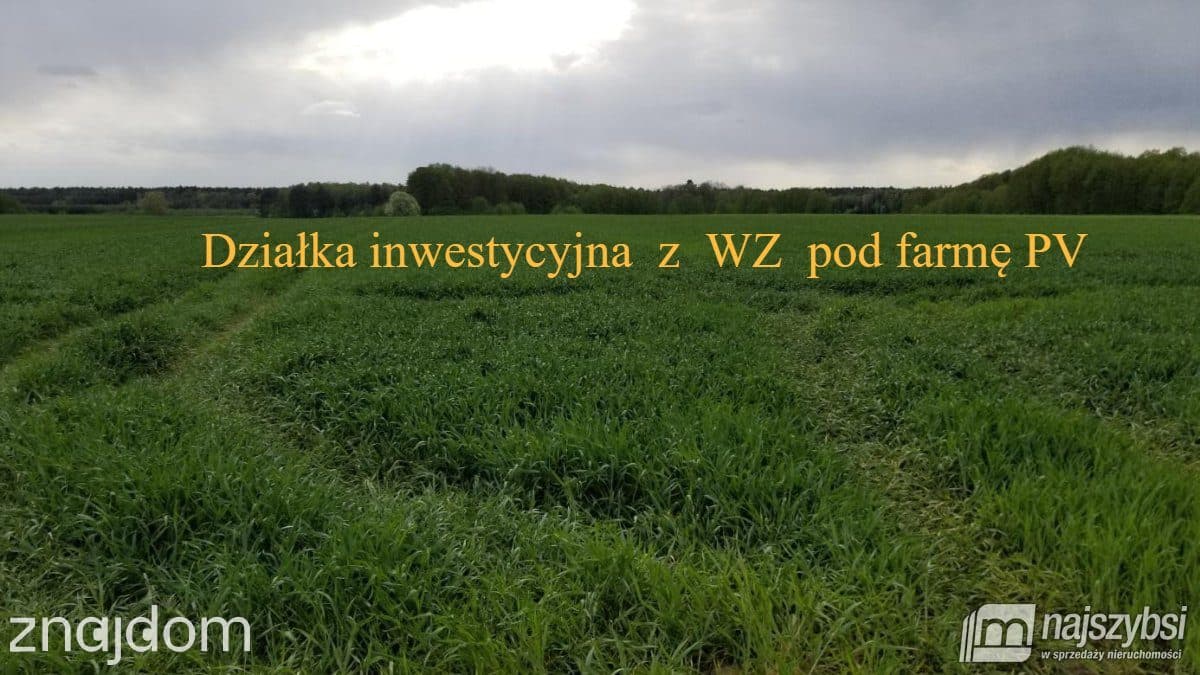 Działka, Przemocze