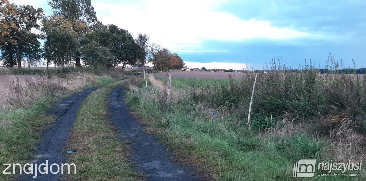 Działka, Przemocze - zdjęcie 2