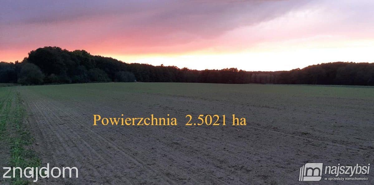 Działka, Przemocze - zdjęcie 4