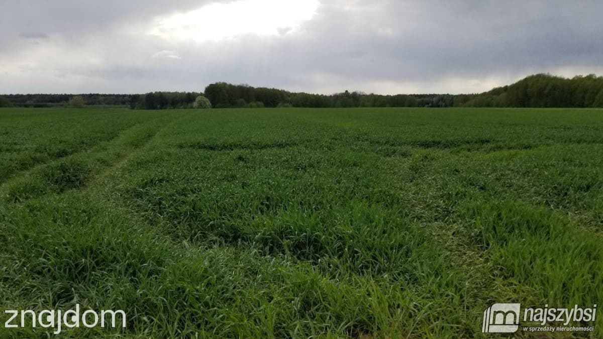 Działka, Przemocze - zdjęcie 6