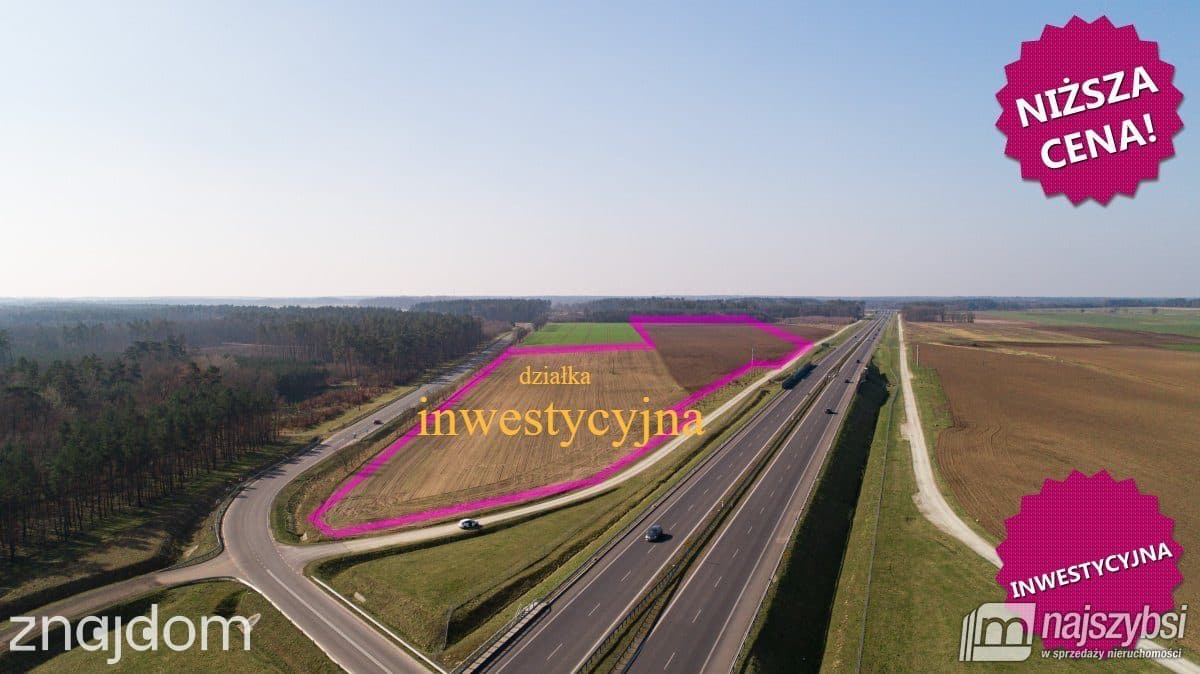 Działka, Kikorze