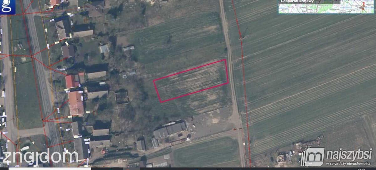 Działka, Przemocze - zdjęcie 12