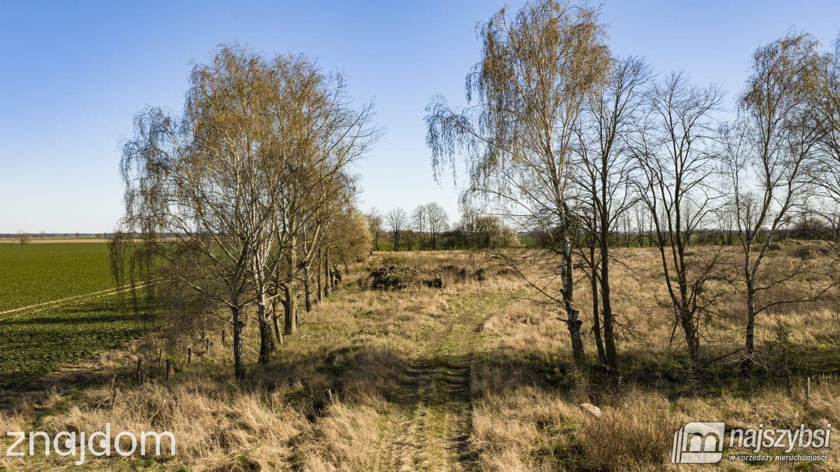 Działka, WITKOWO PIERWSZE - zdjęcie 13
