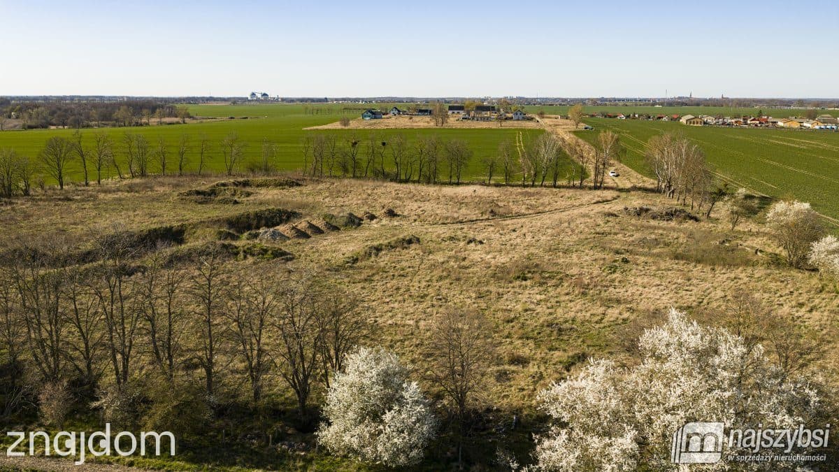 Działka, WITKOWO PIERWSZE - zdjęcie 9