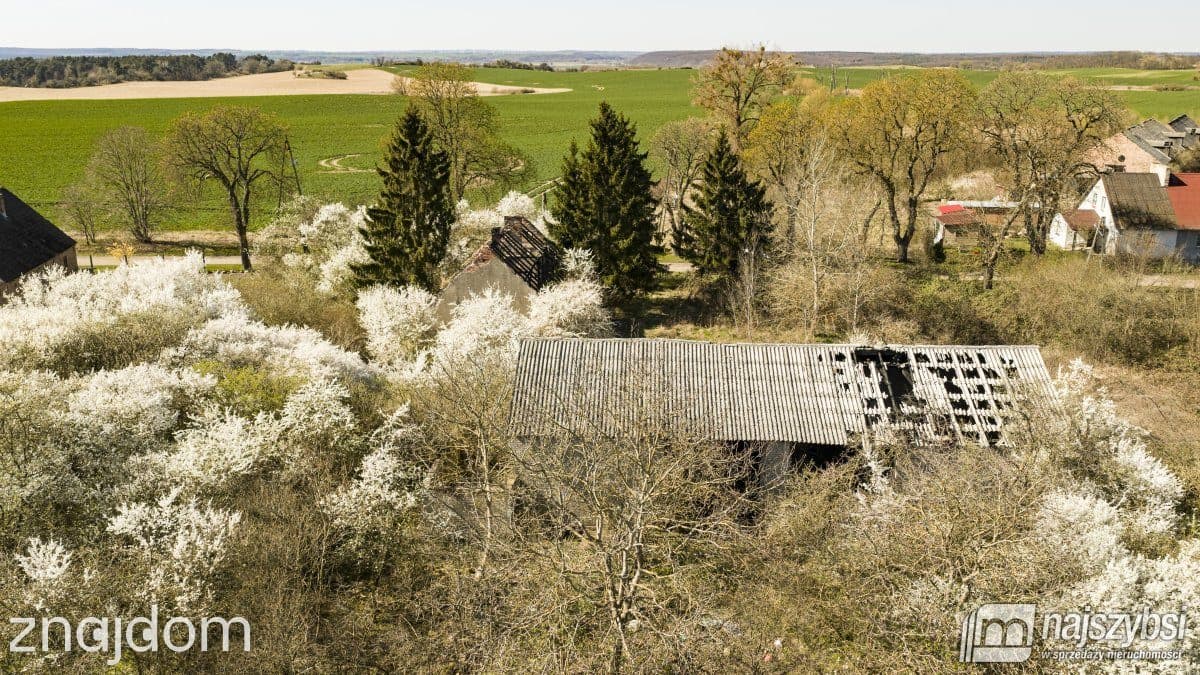 Dom, NIESUŁÓW - zdjęcie 16