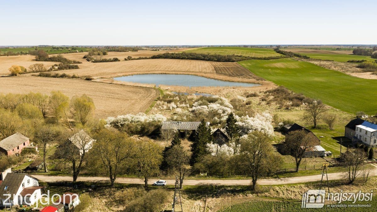 Dom, NIESUŁÓW - zdjęcie 2