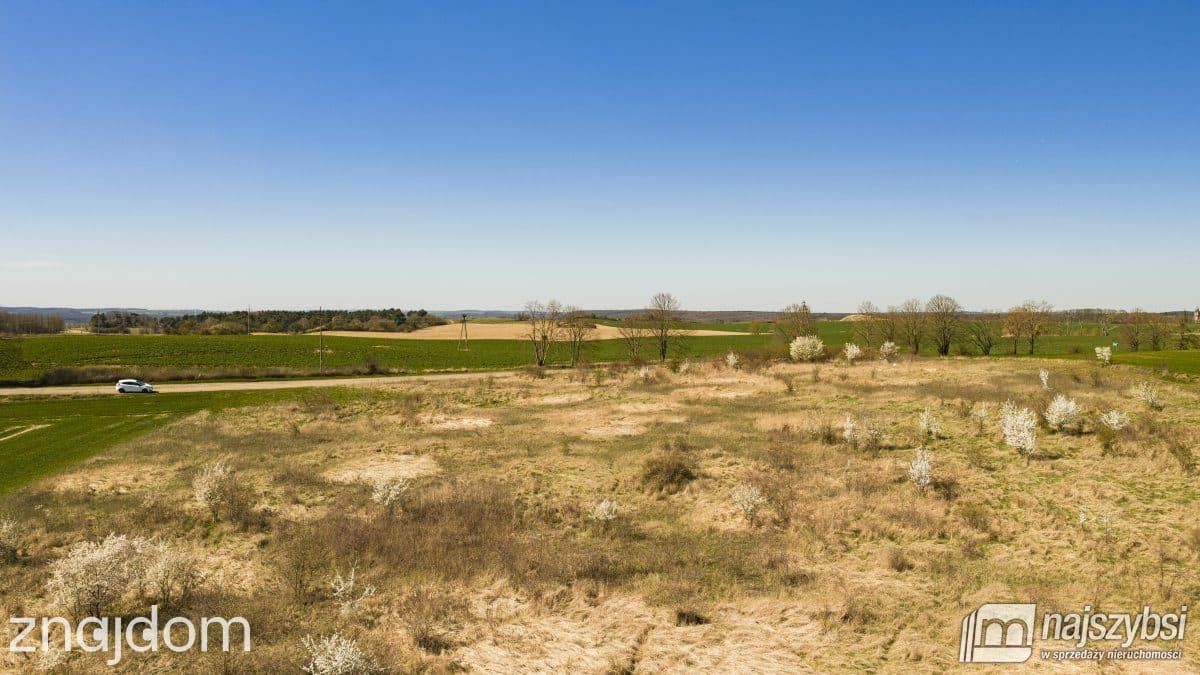 Działka, NIESUŁÓW - zdjęcie 4