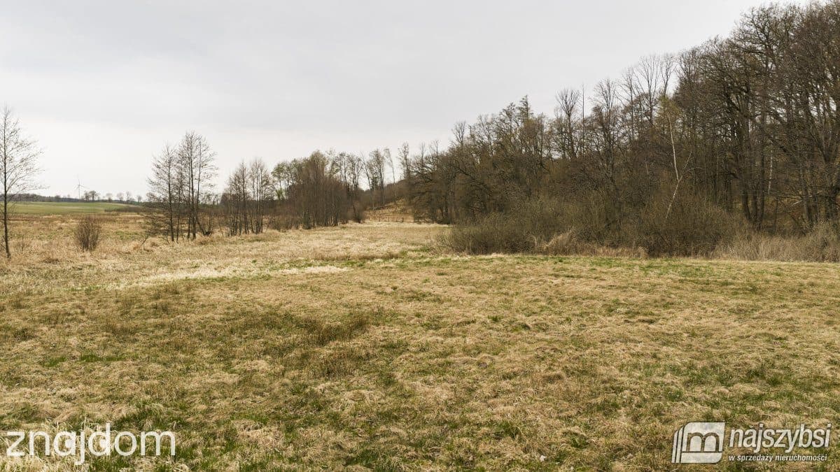 Działka, Rychówko - zdjęcie 4
