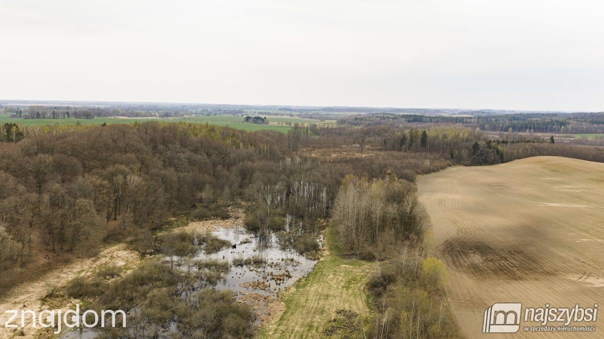 Działka, Rychówko - zdjęcie 9