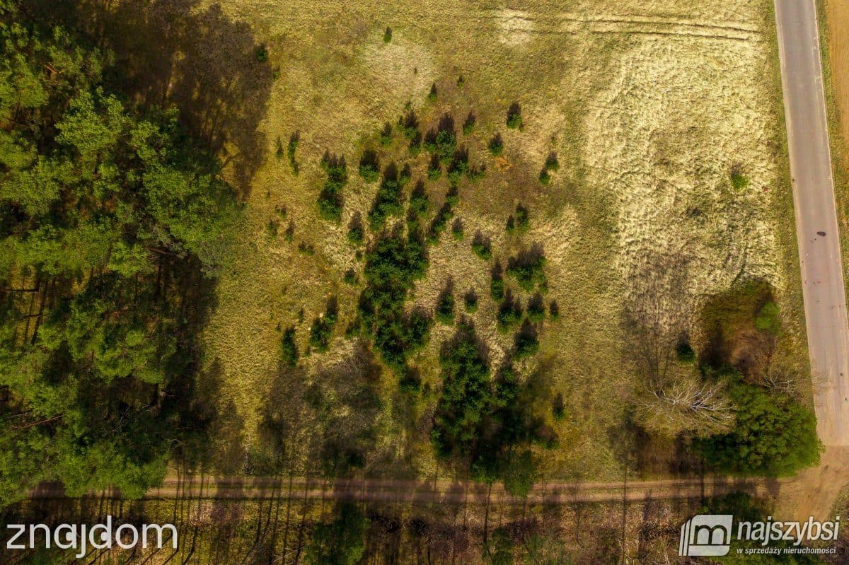 Działka, Karkoszów - zdjęcie 7