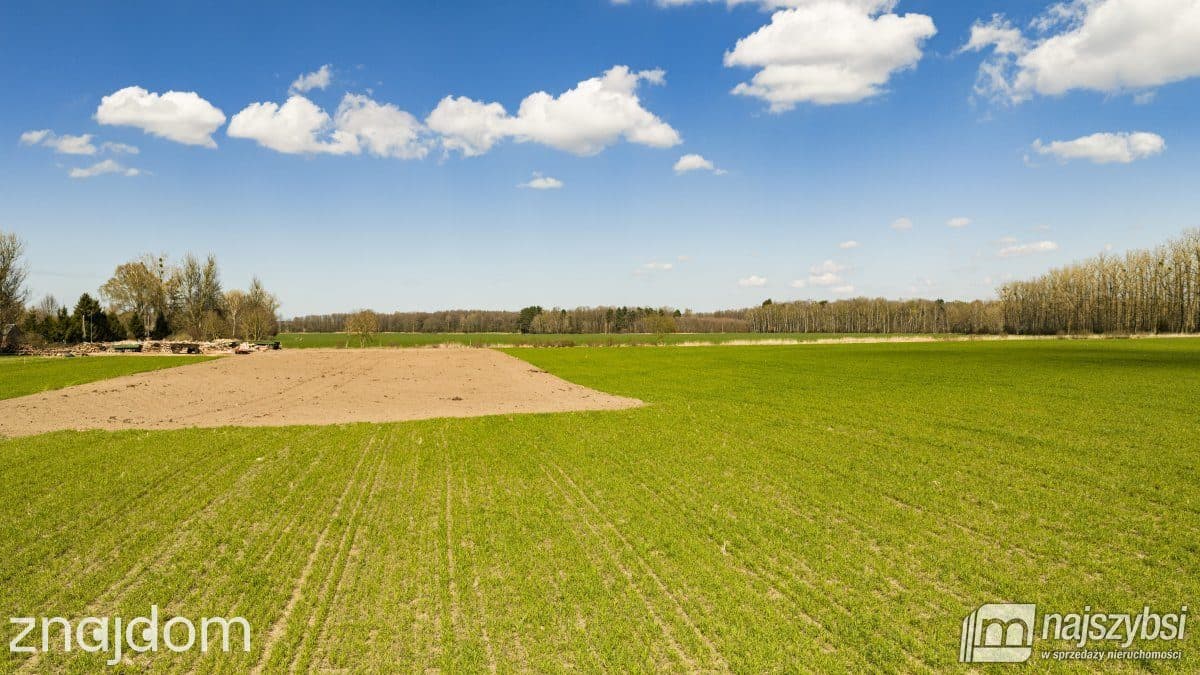 Działka, Dąbrowa Nowogardzka - zdjęcie 13