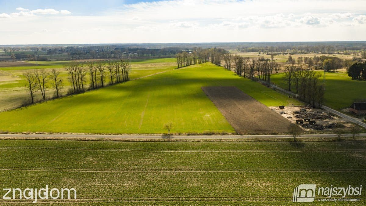 Działka, Dąbrowa Nowogardzka - zdjęcie 7