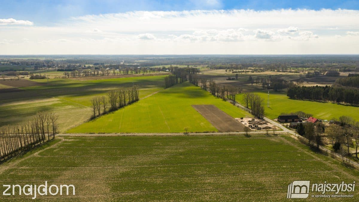 Działka, Dąbrowa Nowogardzka - zdjęcie 9