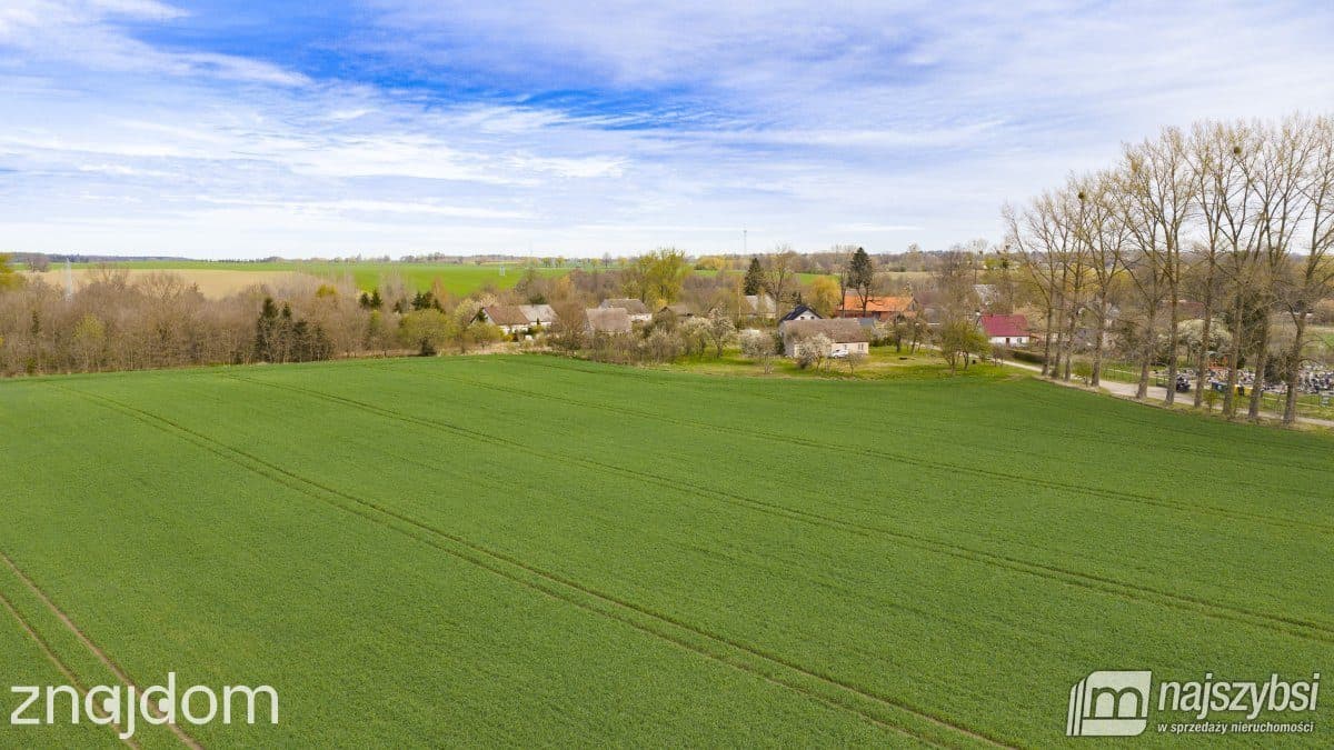 Działka, Bielikowo - zdjęcie 3