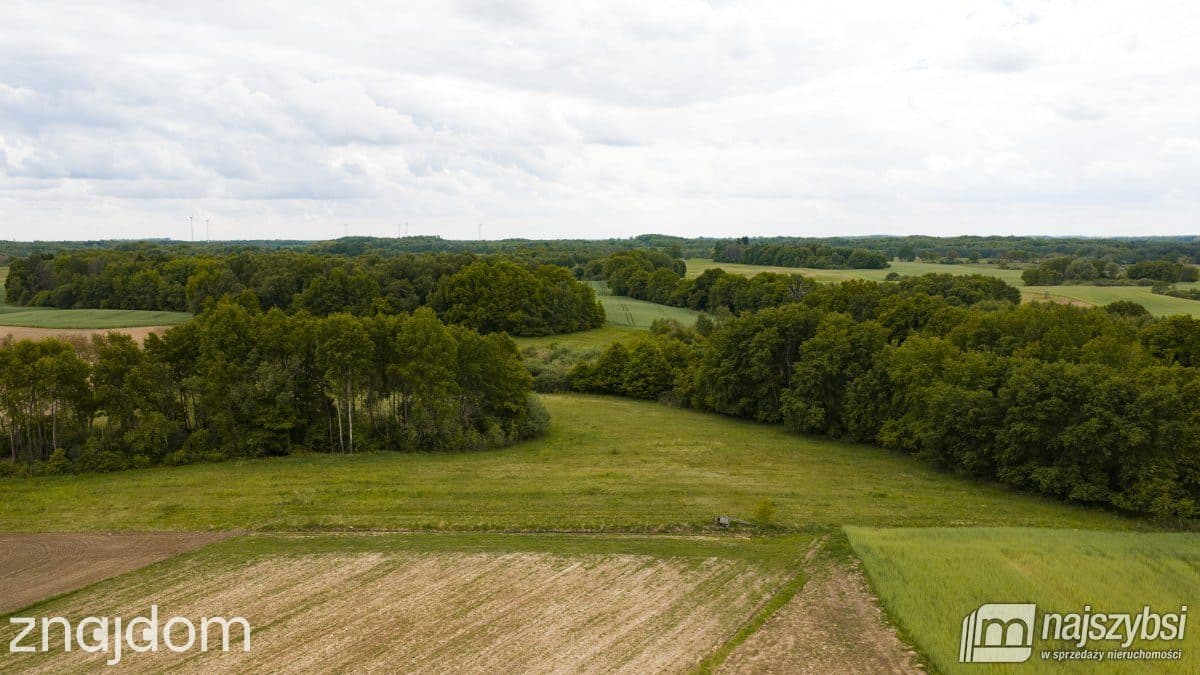 Działka, Nętno - zdjęcie 12