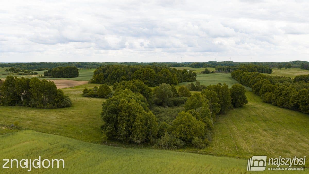 Działka, Nętno - zdjęcie 13
