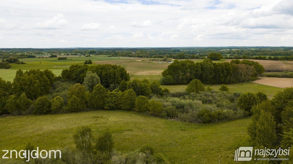 Działka, Nętno - zdjęcie 14