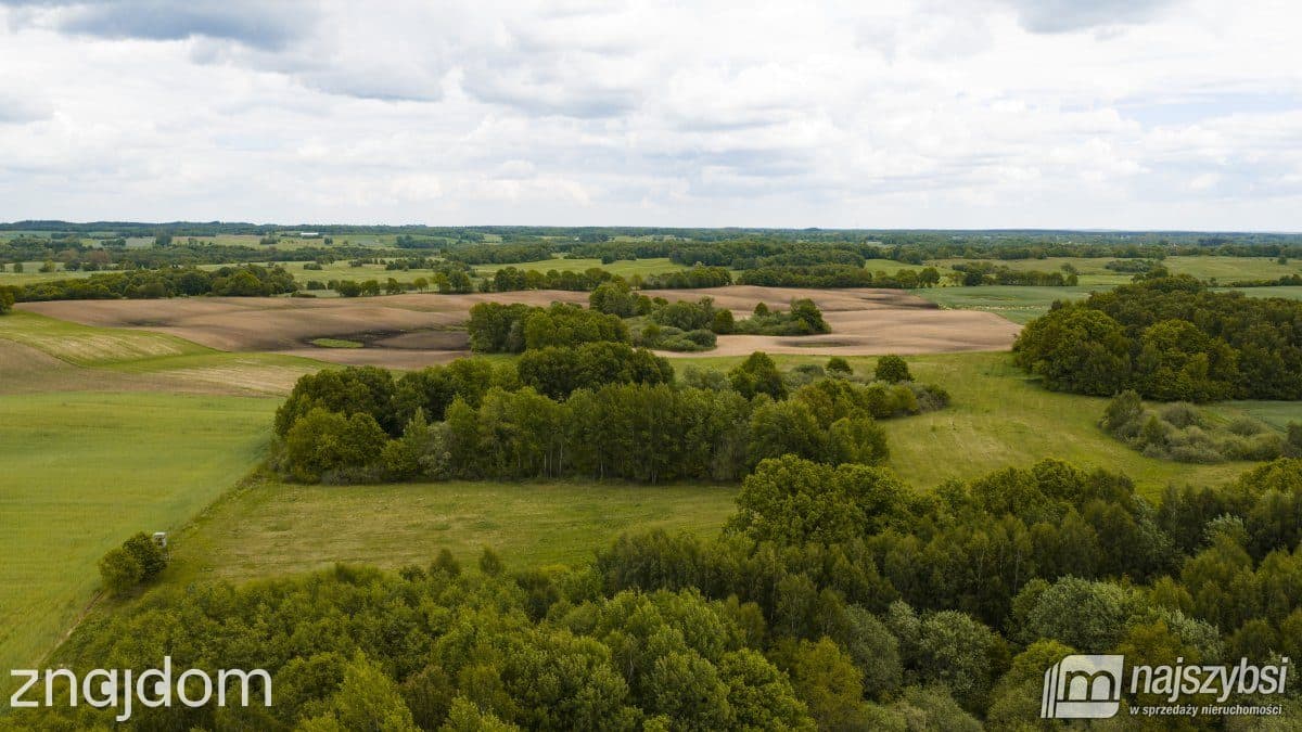 Działka, Nętno - zdjęcie 6