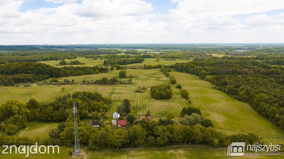 Działka, Jelenino - zdjęcie 12