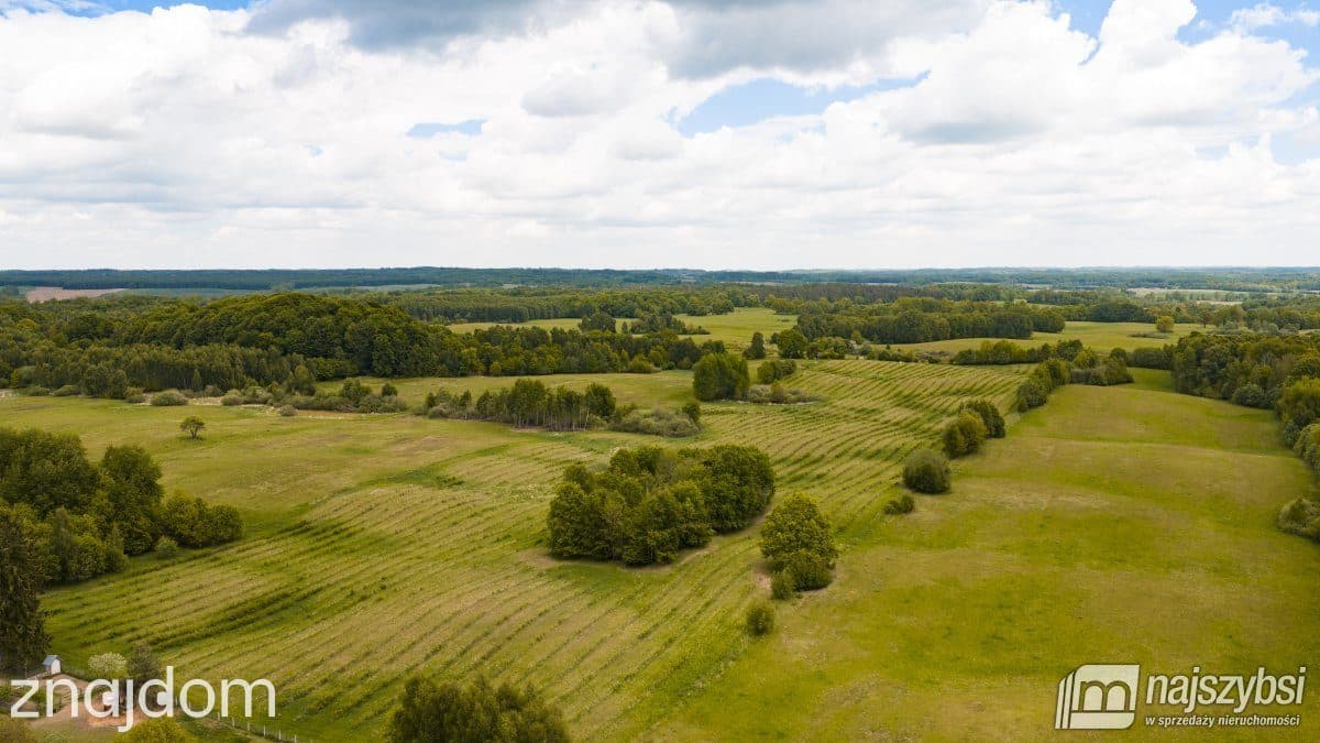 Działka, Jelenino - zdjęcie 14