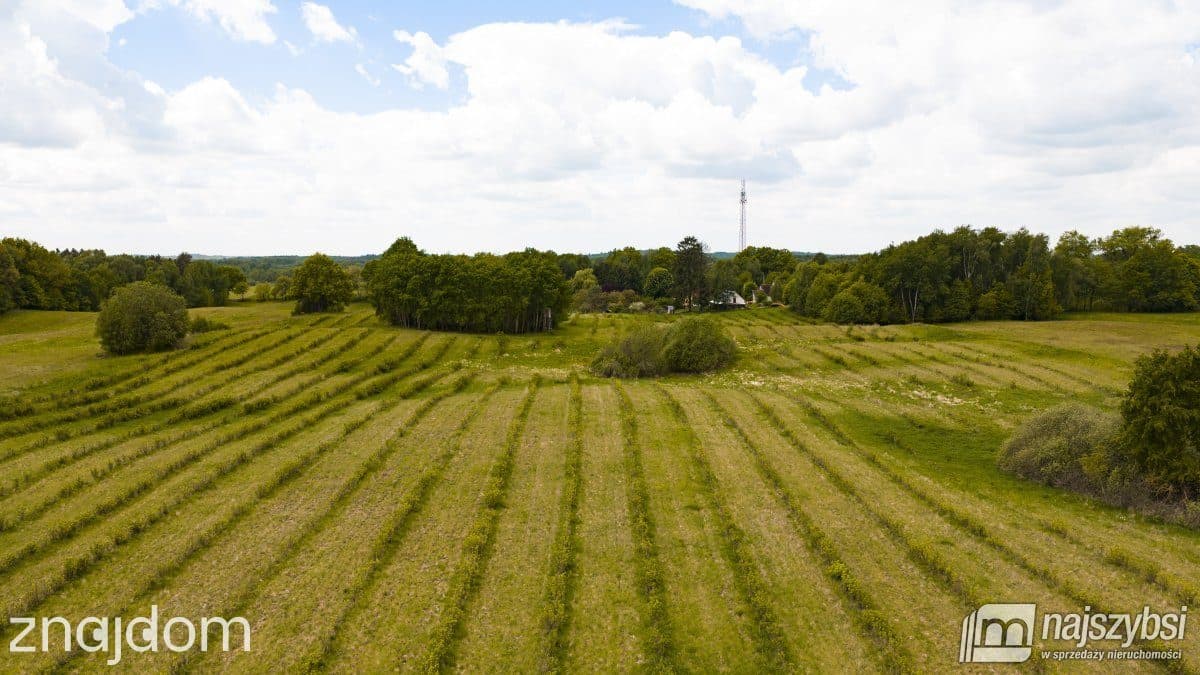 Działka, Jelenino - zdjęcie 19