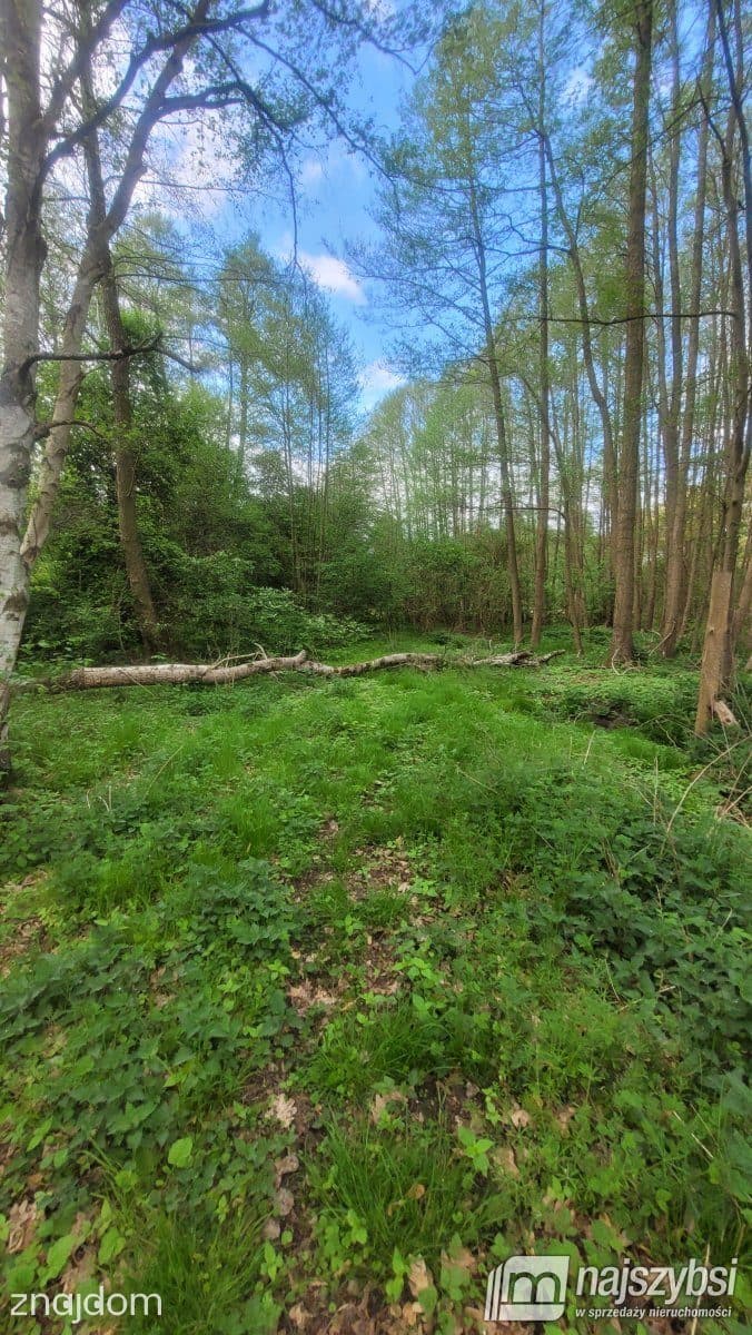 Działka, Goleniów - zdjęcie 24