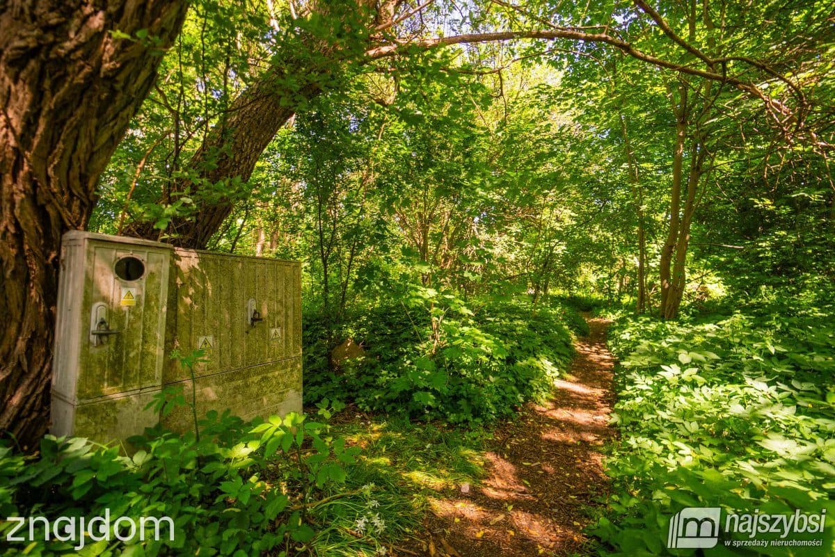 Działka, Goleniów - zdjęcie 9