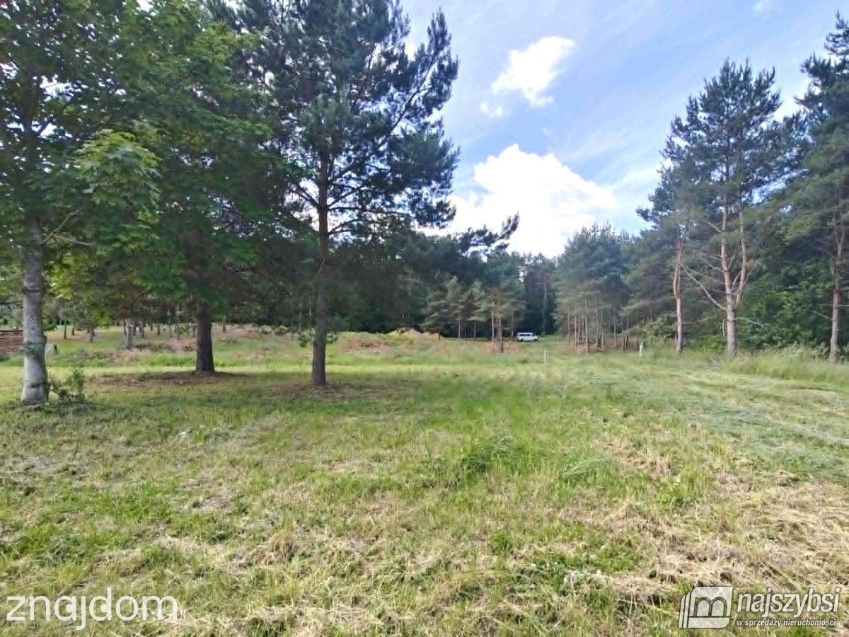 Działka, Golczewo - zdjęcie 2