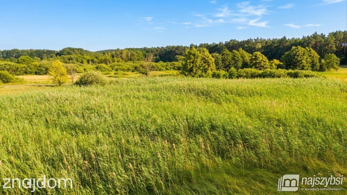 Działka, Zabierzewo - zdjęcie 7